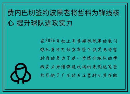 费内巴切签约波黑老将哲科为锋线核心 提升球队进攻实力 费内巴切签约波黑老将哲科为锋线核心 提升球队进攻实力